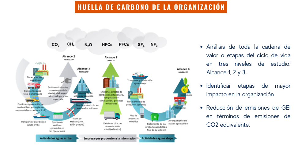 huella de carbono de la organización