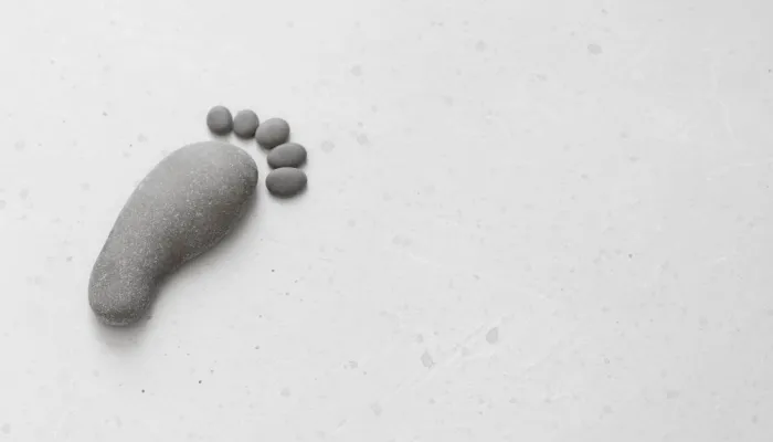 Huella de Carbono CIRCE