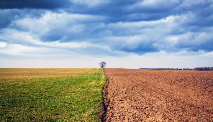 Adaptación climática CIRCE