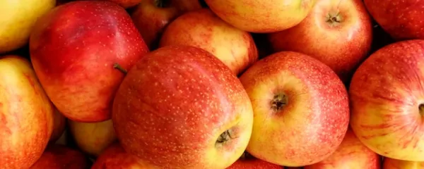 Electrical pulse technology for improved food preservation