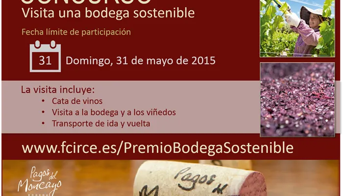 CONCURSO CIRCE visita bodega vino